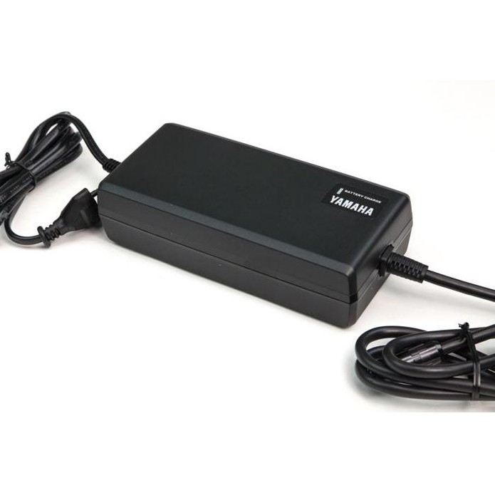 Akku-Ladegerät City/Curve Mountain