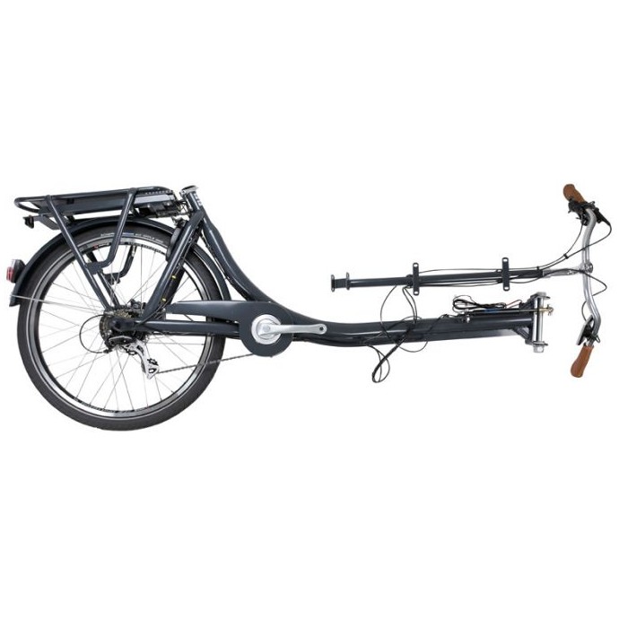 Rahmen Hinterbau Curve-E DiscBrake