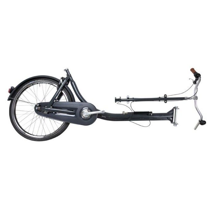 Rahmen Hinterbau Curve (für Montagesatz)