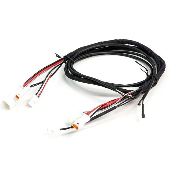 Hintere Motorverkabelung Curve Mountain