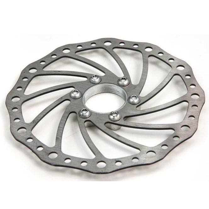 Bremsscheibe Big-E 1.0 ProMax-E (inkl. Adapter)